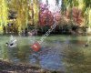 Ata Park Botanik Bahçesi