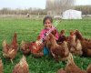 Ataks Lohman Yarka satışı -05439527570”