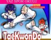 Ataşehir Merkez Taekwondo Karatedo Kıck Boks Muay Thai CimlastikSpor salonu