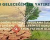 AYA İç Mimari ve Yalıtım Danışmalık Hizmetleri