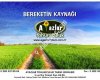 Ayazlar Tohumculuk