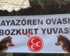 Ayazören ülkücü gençlik