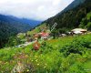 Ayder