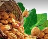 AYDİN İN Lezzetli incirleri