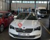 Aykan Osmaniye Skoda