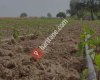 Aysan Plastik Boru Sanayi ve Ticaret A.Ş.