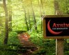 Aysima 3D Yapı Dekorasyon