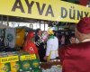Ayva diyarı Geyve