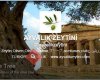 Ayvalık Zeytini