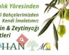 Ayvalıkhan Zeytincilik