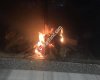 Baba oğul Canciğer KEBAB