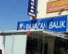 Babacan Balıkçılık