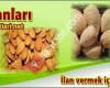 Badem Fiyatları - BademFiyatlari.net