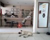 Bağarası Veteriner Kliniği
