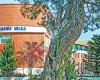 Bahçeşehir Koleji Antalya Parkorman Kampüsü