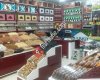 Baskil kayısıları
