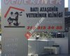 Batı Ataşehir Veteriner Kliniği