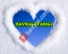 Bayram  Tarim
