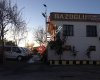 Bazoglu otomotiv gaziantep