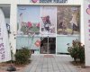 Bebek House