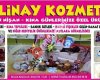 Belinay Kozmetik&Bujiteri