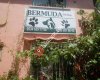 Bermuda PetShop