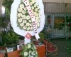 Beyaz Papatya Çiçekçilik