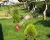 Beyaz Saray Konakları