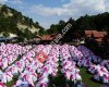 Beypazarı Doğanbey Turizm Tesisleri