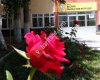 Beyşehir Anadolu Imam Hatip Lisesi