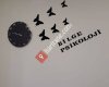 Bilge Psikoloji