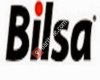 Bilsa Bilgisayar