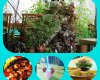 Biricik Bistro Cafe&Restaurant