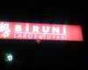 Biruni Laboratuvarı