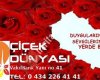 Bitlis ÇİÇEK Dünyasi