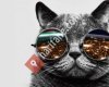 Boğaz Optik / Ezine