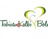 Bolu Belediye Başkanlığı Fen İşleri Müdürlüğü