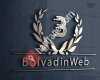Bolvadin Web