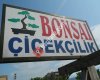 Bonsai Çiçekçilik