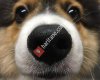 Boop Alaçatı