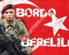 Bordo Bereliler