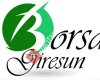 Borsa Giresun
