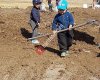 Bosch Ekici Bayi Sty