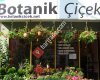 Botanik Çiçek KDZ. Ereğli / Zonguldak