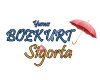 BOZKURT RANT A CAR VE SİGORTA 