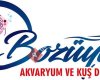 Bozüyük Akvaryum Ve Kuş Dünyasi