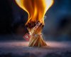 Burhan yılmaz photo & video