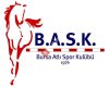Bursa Atlı Spor Kulübü