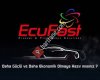 Bursa Audi Volkswagen Seat Skoda & Ford Renault Gizli Özellik Aktivasyonu