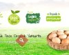 Bursa Organik Yumurta